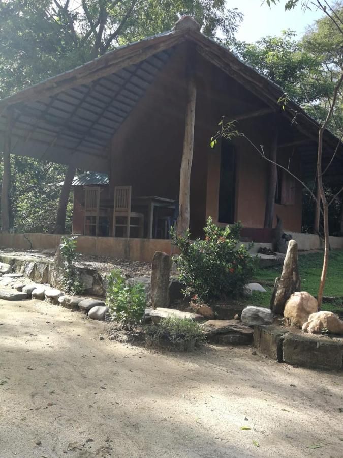 The bungalow seen from the garden, with stones and plants in front