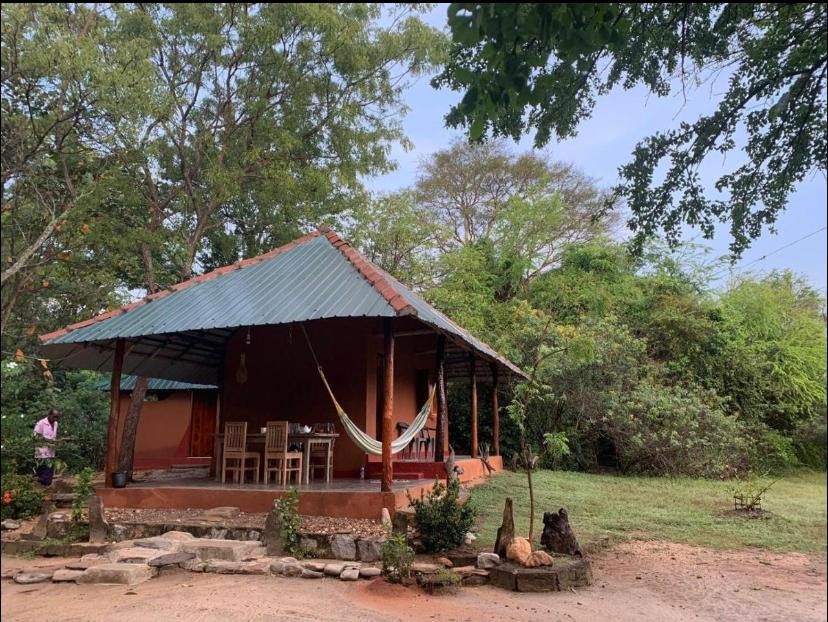 The Sahana Safari Eco Retreat bungalow with a hammock on the veranda, surrounded by trees