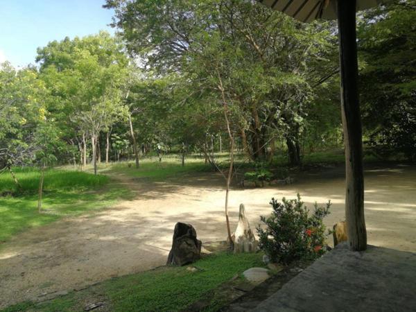 View from the veranda over the garden