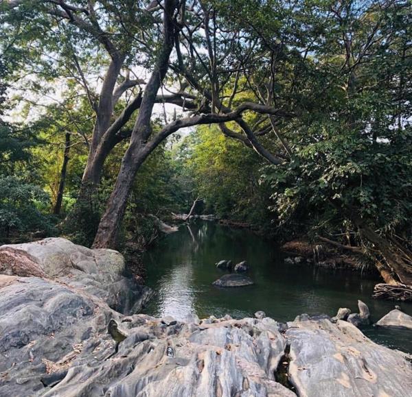 Rocks along the river