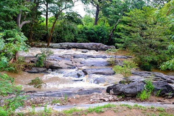 A rocky stream in the jungle